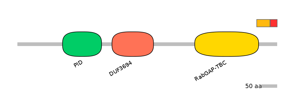 MmuEX0038423-INC