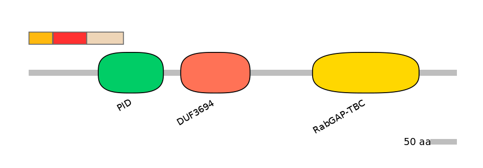 MmuEX0038441-INC