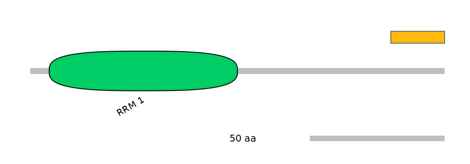 MmuEX0039131-INC