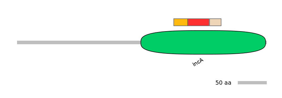 MmuEX0041371-INC