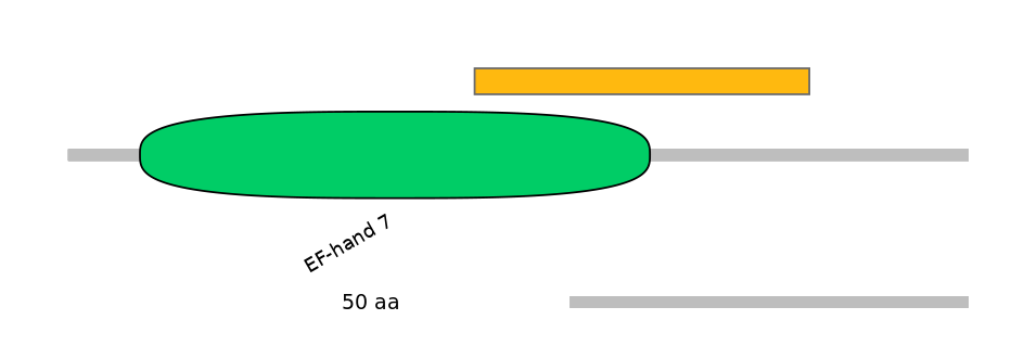MmuEX0042861-EXC