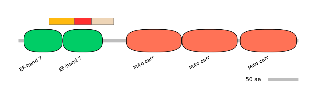 MmuEX0042861-INC