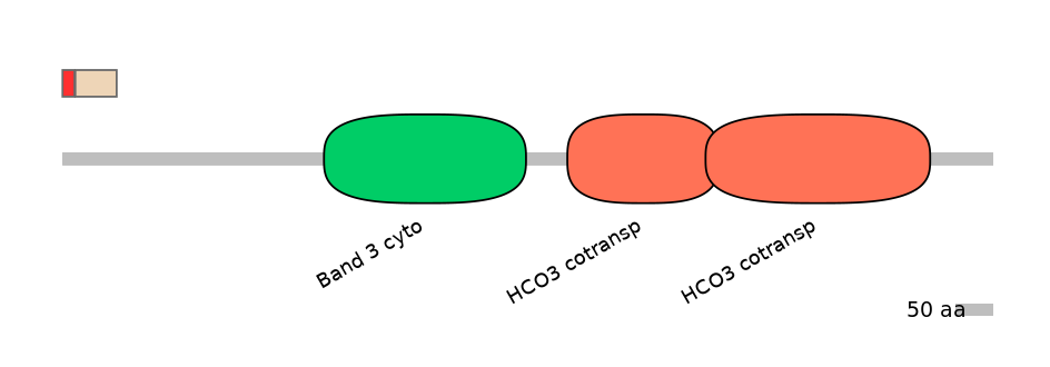 MmuEX0043402-INC