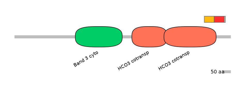 MmuEX0043405-INC