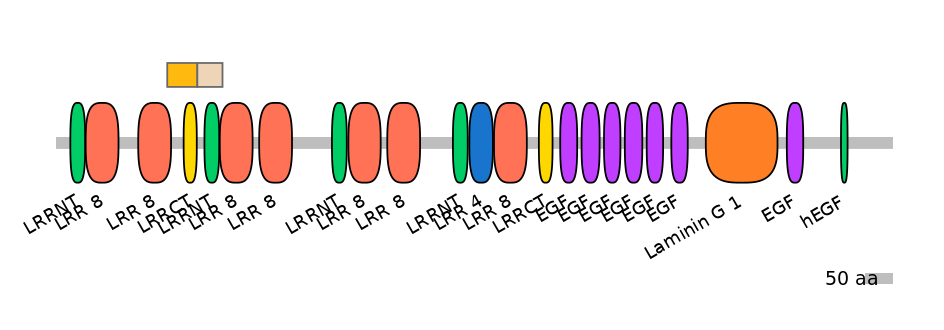 MmuEX0043688-EXC
