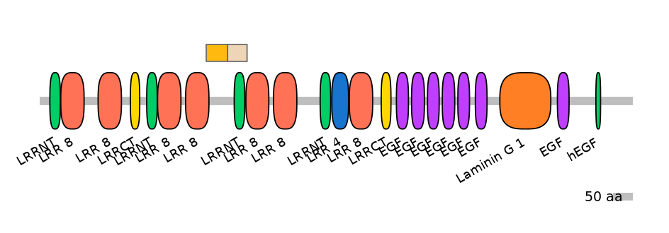 MmuEX0043691-EXC