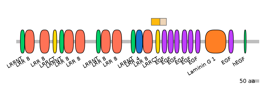 MmuEX0043692-EXC