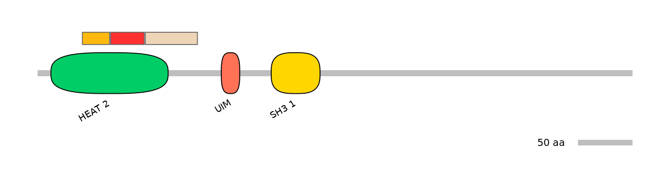 MmuEX0045260-INC