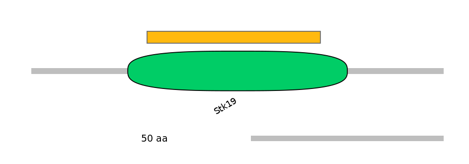 MmuEX0045404-EXC