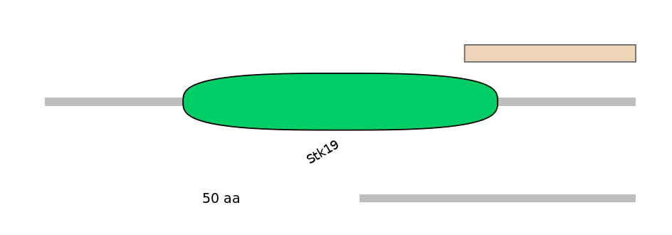 MmuEX0045405-EXC