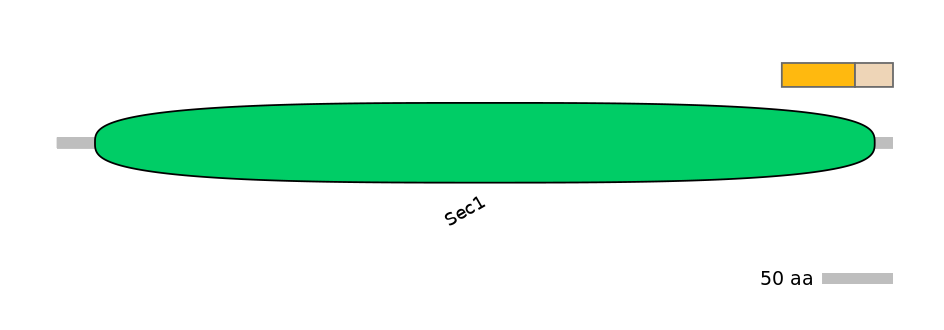 MmuEX0045617-EXC