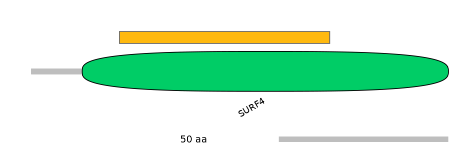 MmuEX0045786-EXC