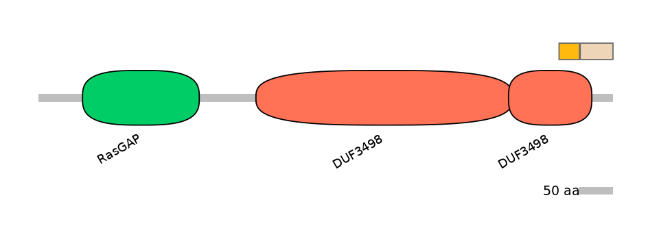 MmuEX0045969-EXC