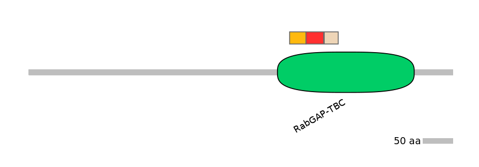 MmuEX0046396-INC