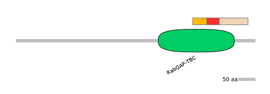 MmuEX0046412-INC