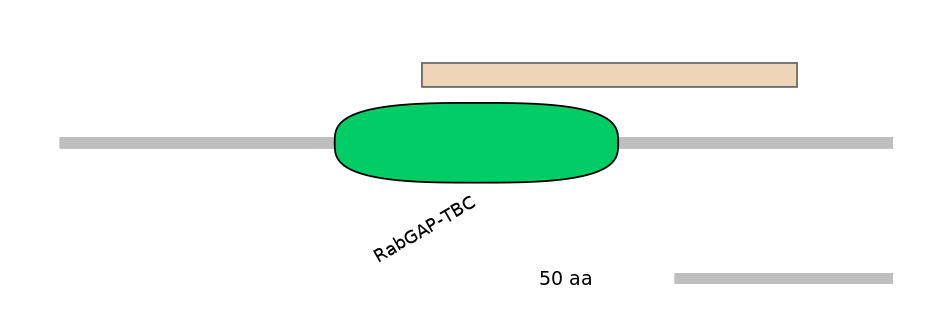 MmuEX0046415-EXC