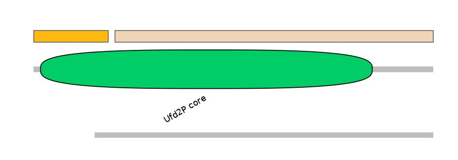 MmuEX0048667-EXC