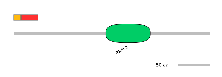 MmuEX0048667-INC