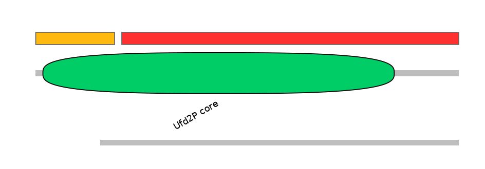 MmuEX0048668-INC
