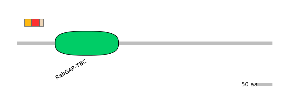 MmuEX0051101-INC
