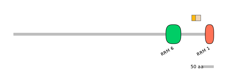 MmuEX0053006-EXC