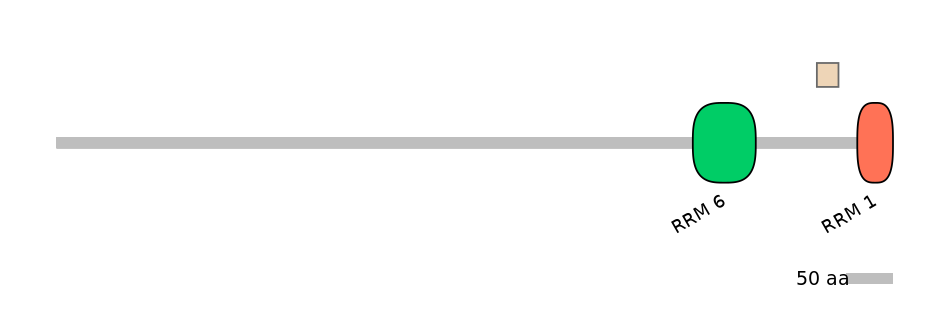 MmuEX0053007-EXC
