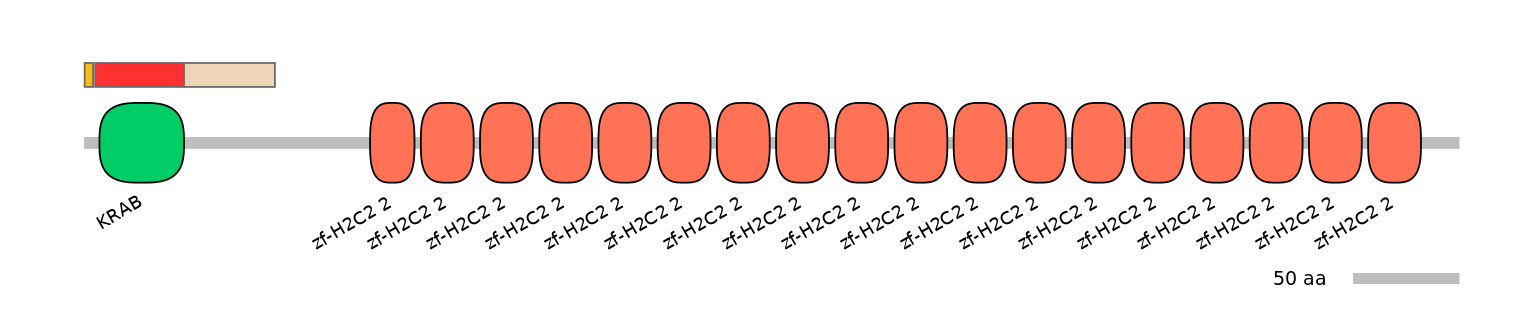 MmuEX0053055-INC
