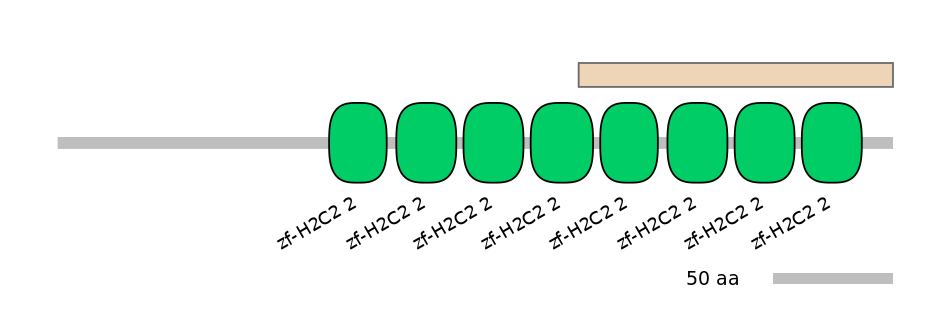 MmuEX0053083-EXC