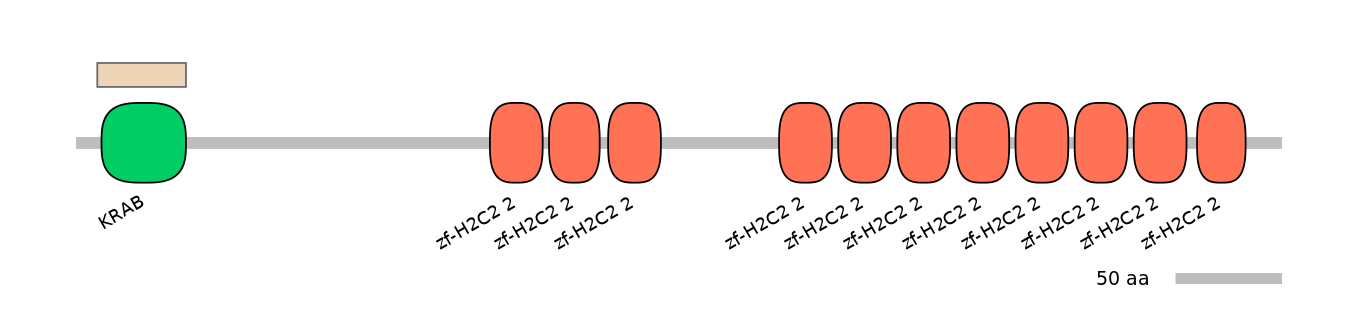 MmuEX0053251-EXC