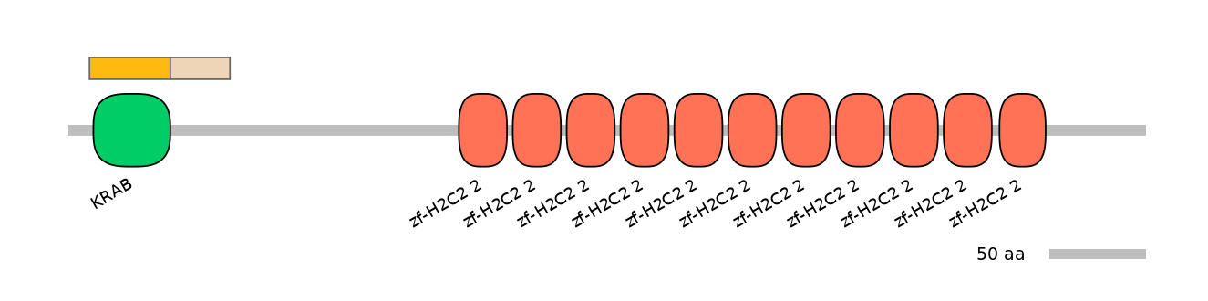 MmuEX0053255-EXC