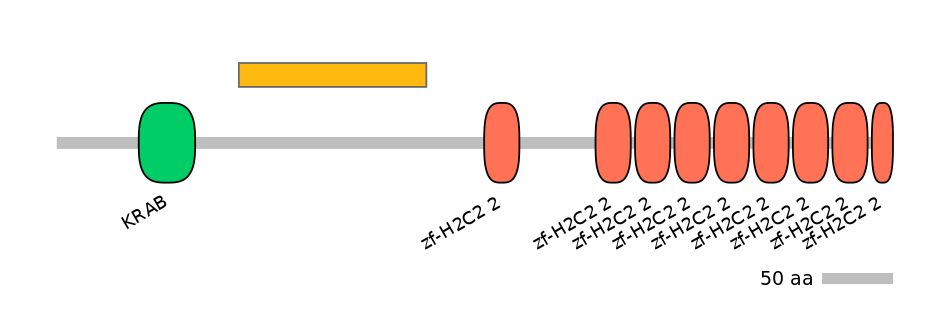 MmuEX0053288-EXC