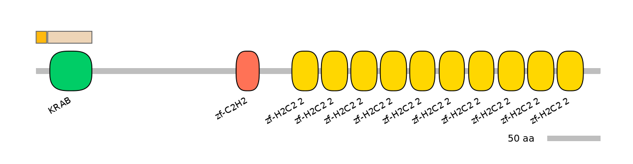 MmuEX0053362-EXC