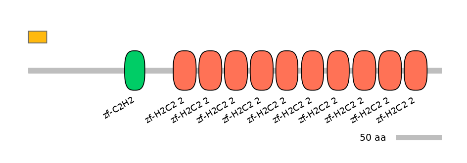 MmuEX0053364-EXC