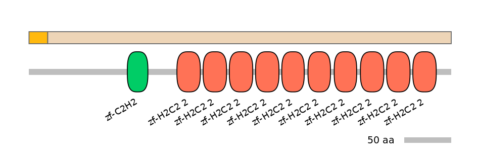 MmuEX0053365-EXC