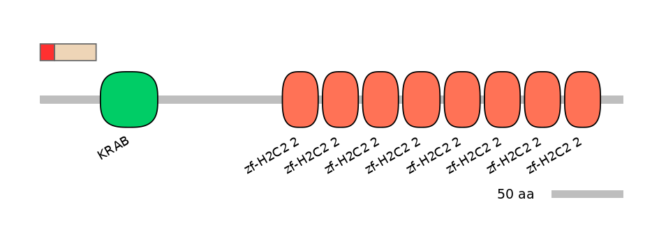 MmuEX0053446-INC