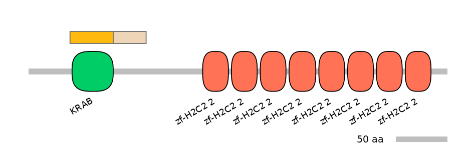 MmuEX0053449-EXC