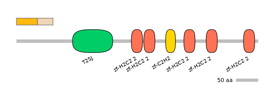 MmuEX0053537-EXC