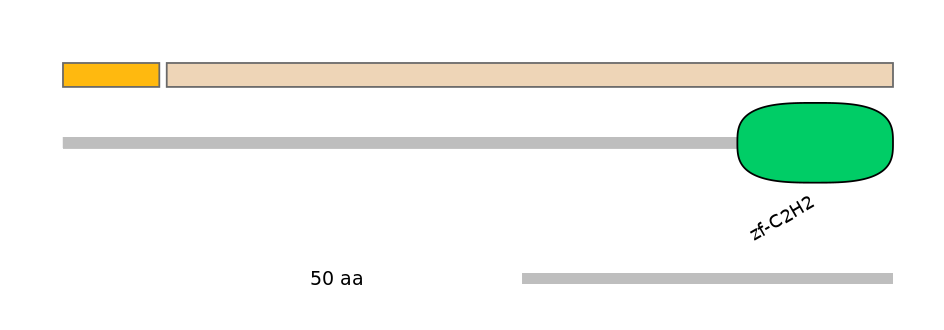 MmuEX0053551-EXC