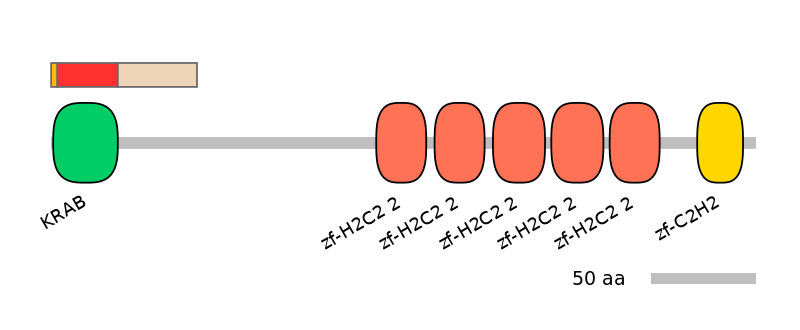 MmuEX0053573-INC