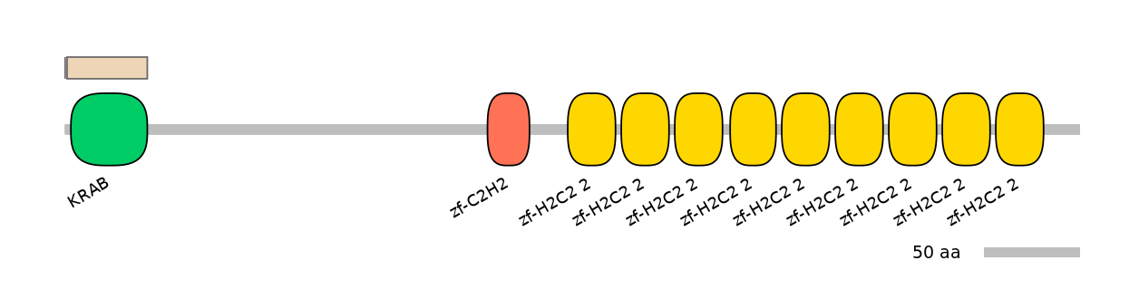 MmuEX0053627-EXC