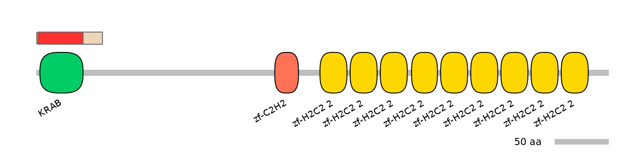 MmuEX0053628-INC