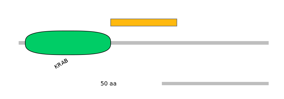 MmuEX0053631-EXC