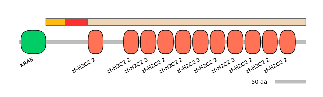 MmuEX0053631-INC