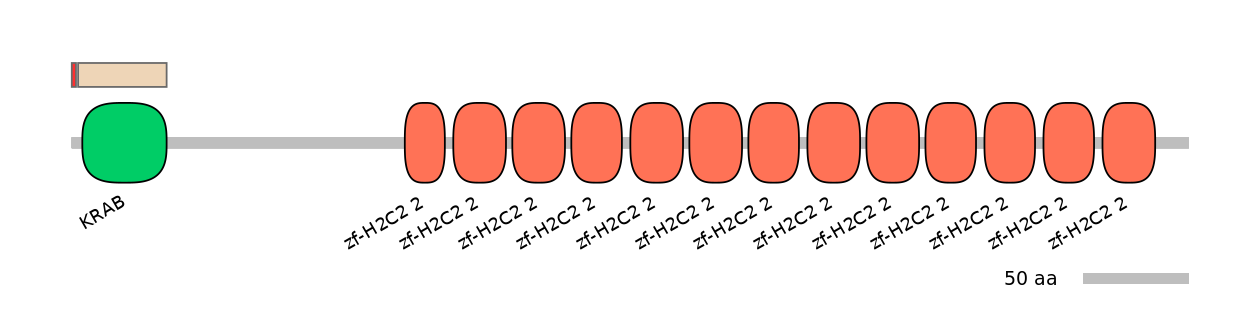 MmuEX0053635-INC