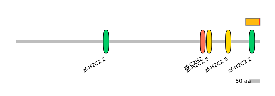 MmuEX0053647-INC