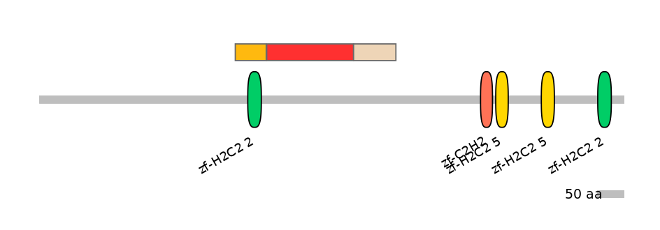 MmuEX0053648-INC
