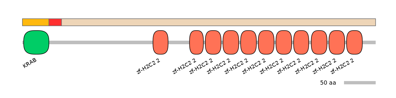 MmuEX0053676-INC