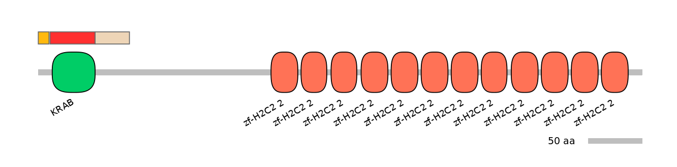 MmuEX0053684-INC