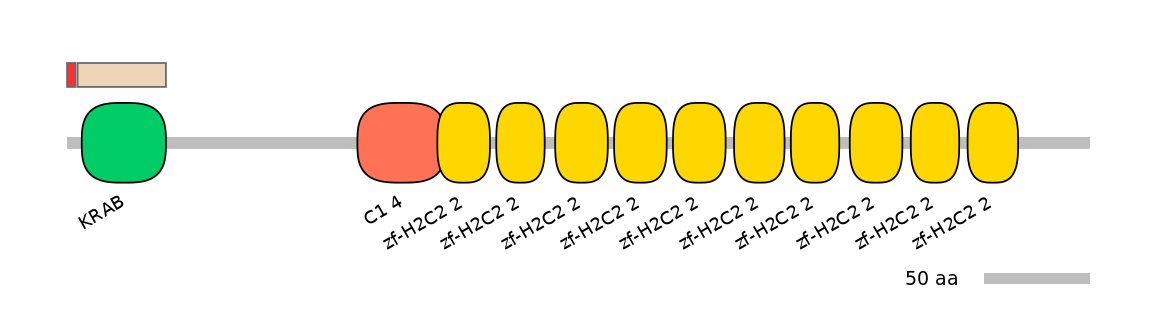 MmuEX0053700-INC