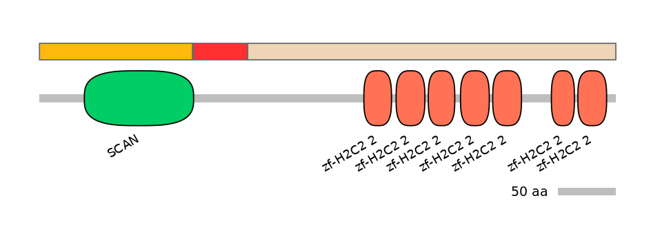 MmuEX0054050-INC